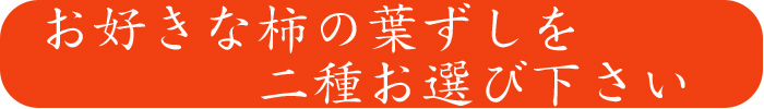 あなただけの柿の葉ずし セット