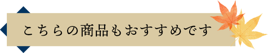 こちらの商品もおすすめです